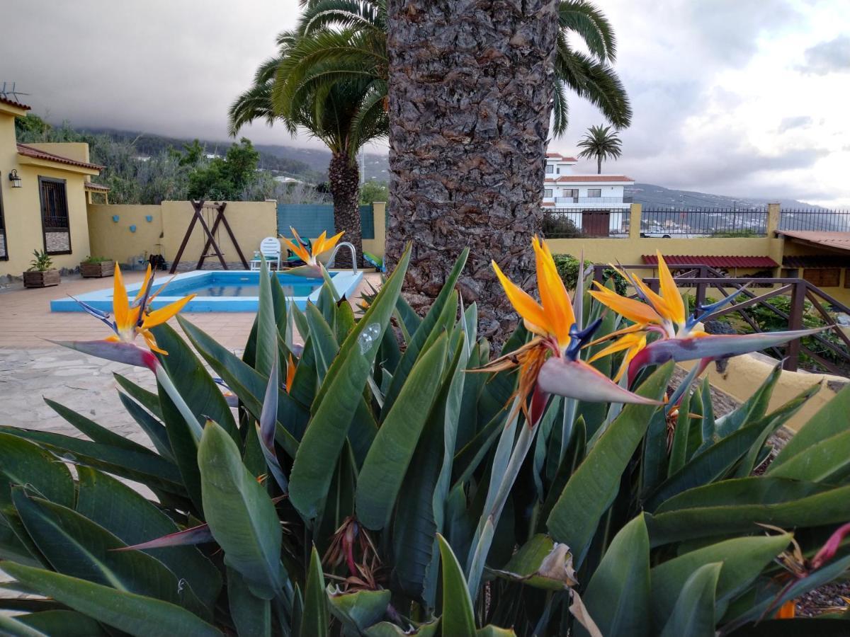 Apartamento La Costa Santa Cruz de Tenerife Kültér fotó