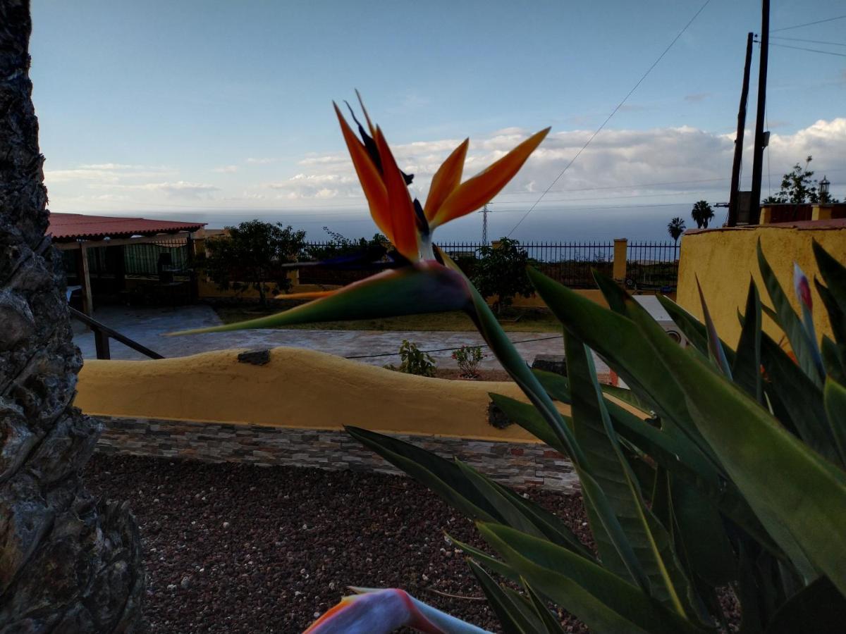 Apartamento La Costa Santa Cruz de Tenerife Kültér fotó