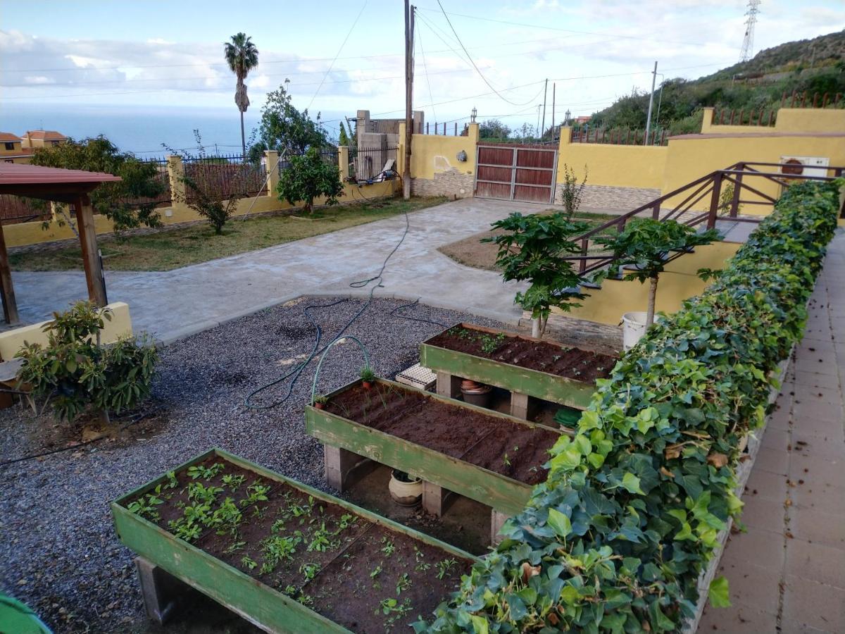 Apartamento La Costa Santa Cruz de Tenerife Kültér fotó